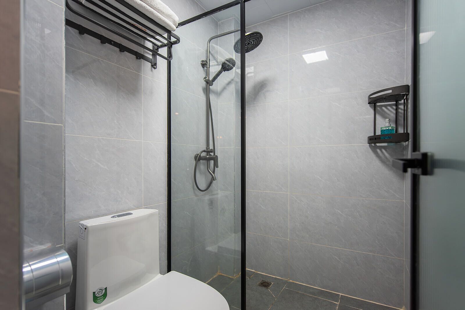 A modern bathroom with a glass-enclosed shower, a toilet, and a towel rack.
