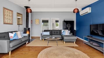 TV, fireplace, DVD player, books