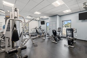 Fitness facility - Gulf & Greenbelt Views, No-Expense-Spared Remodel, Seaplace Oasis (Longboat Key)