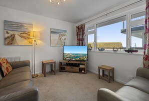 Televisor 