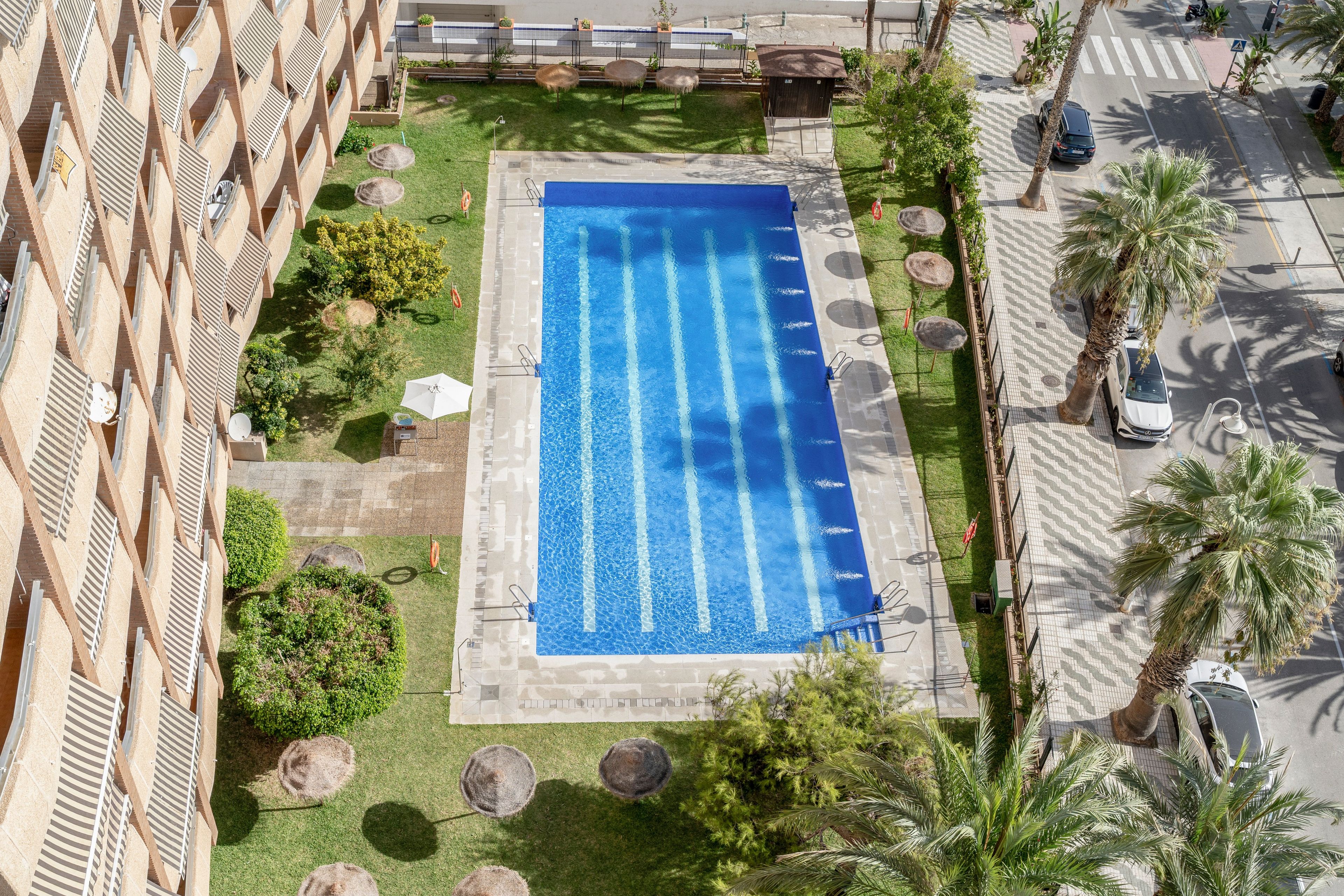 Una piscina con borde de baldosas, rodeada de palmeras y un edificio con un diseño arquitectónico distintivo.