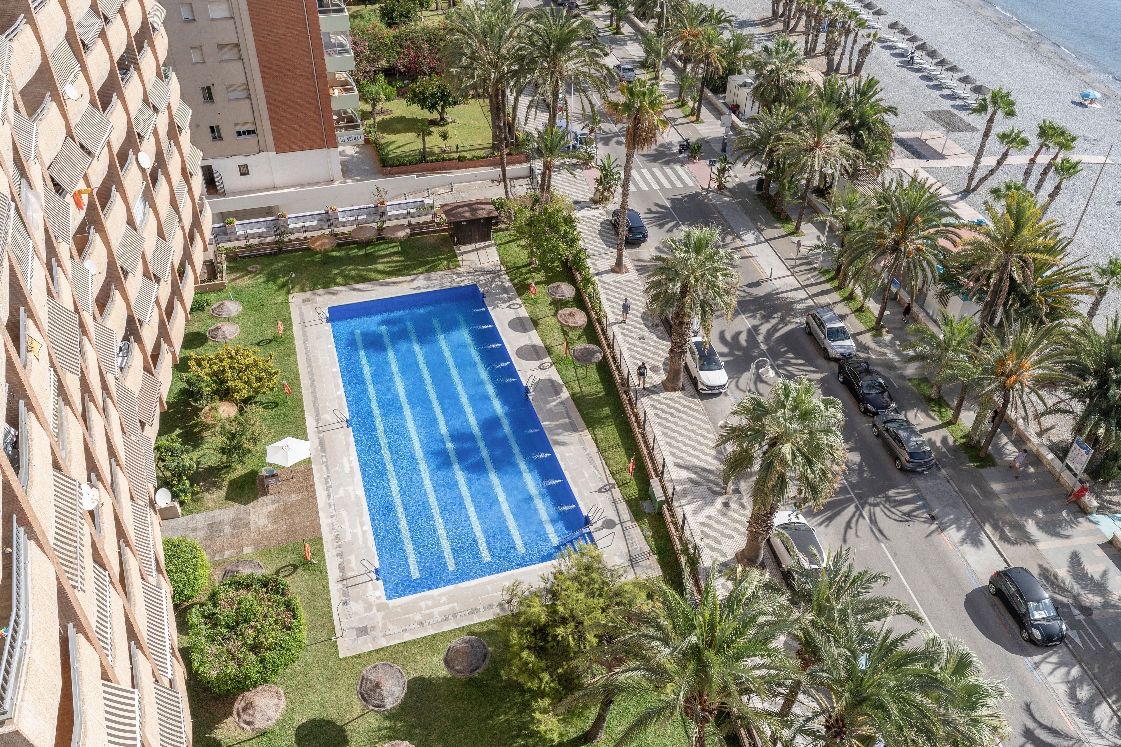 Una piscina en la azotea con superficie de agua azul cristalina, rodeada de palmeras y un aparcamiento.