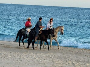 Trois personnes montent à cheval sur une plage, avec l’océan en arrière-plan.