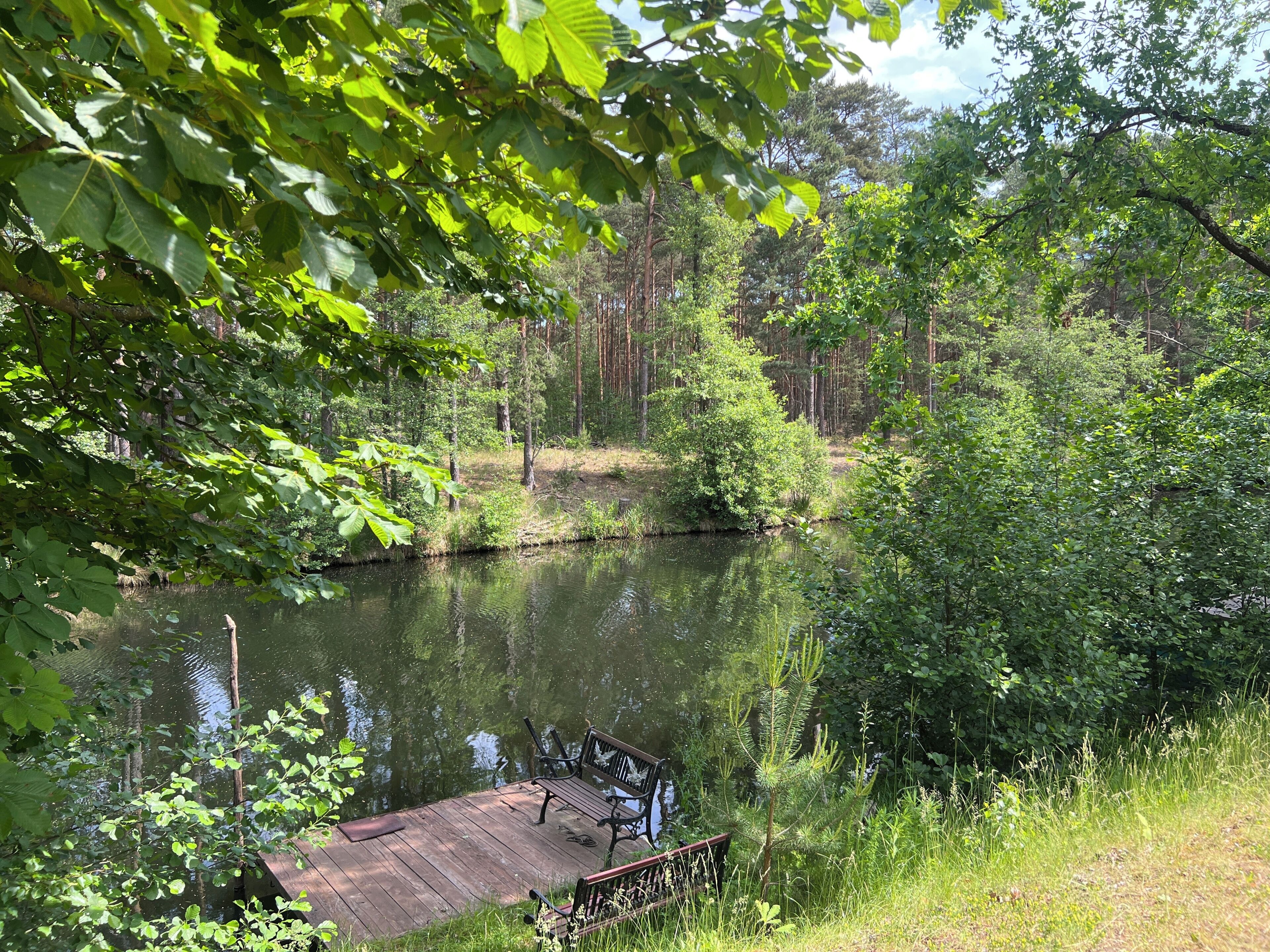 A wooden dock extending into a calm river surrounded by dense greenery and trees.
