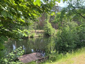 En træbro, der strækker sig ud i en rolig flod omgivet af frodig vegetation og træer.