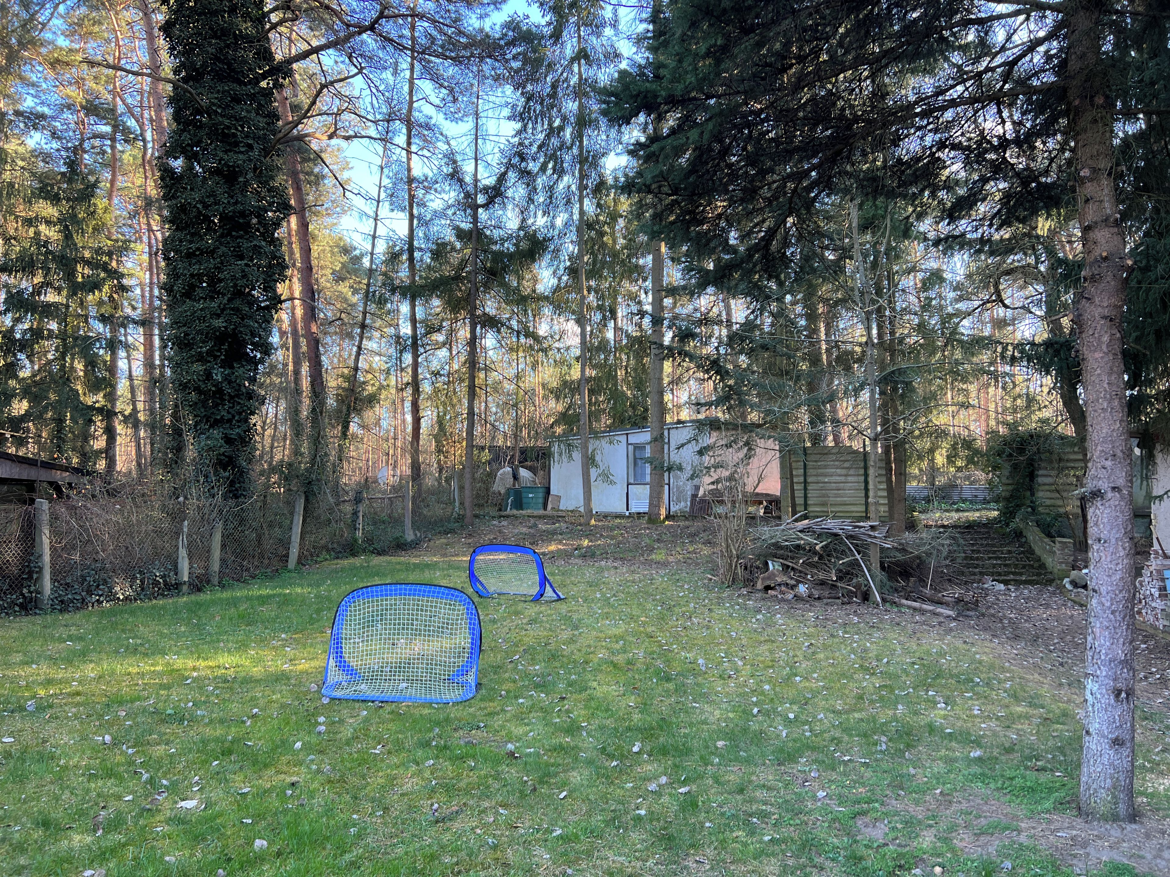 Ein bewaldetes Gebiet mit einer kleinen Holzhütte, einem blauen Insektenschutznetz und einer grünen Wiese.
