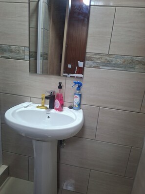 Habitación clásica doble, vistas al parque, en esquina | Baño | Jabón, champú y papel higiénico