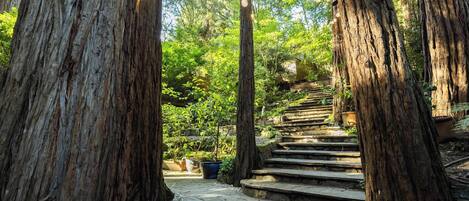 Terrain de lâhĂ©bergement