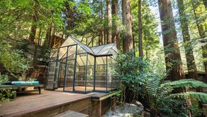 A greenhouse structure with a wooden deck, surrounded by tall trees and ferns.