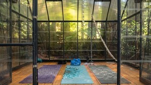 A greenhouse with a wooden deck, clear glass walls, and hanging decorations.
