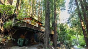 A cabin in a forest with a wooden deck, a stone wall, and a road leading to it.