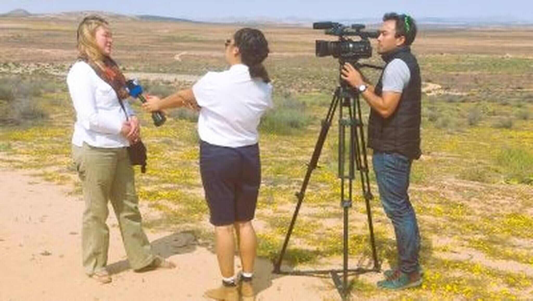 Værelse - flere soveværelser - handicapvenligt - ryger | Diverse