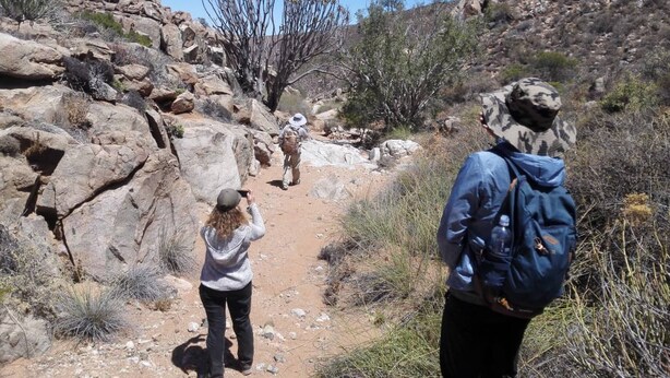 A rocky hiking trail with sparse vegetation and a clear sky. - Room-hollywood Lodge & Green Jewel Adven (Nama Khoi)