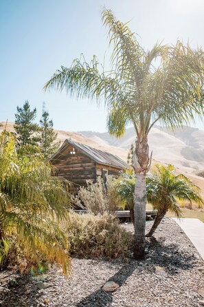 Àrea exterior de l'allotjament