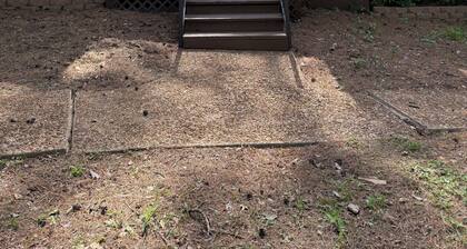 Charming 2-bedroom apartment with AC in Holly Lake Ranch