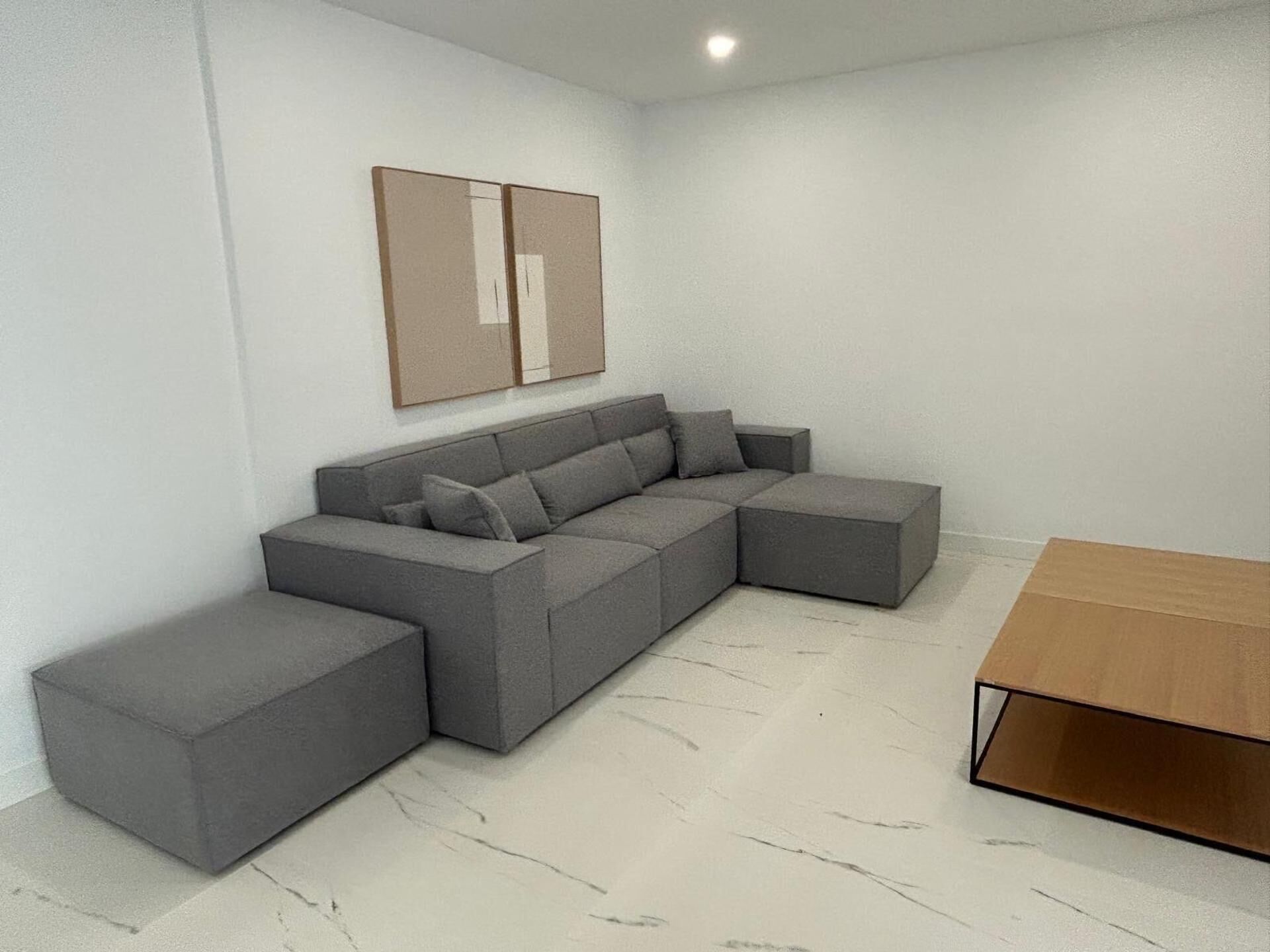 A modern living room with a grey sectional sofa, a wooden coffee table, and a framed artwork on the wall.