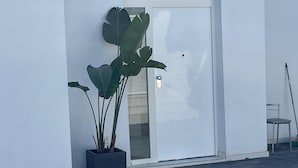 Un edificio moderno con fachada blanca, puerta de vidrio y una planta en maceta.