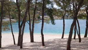 Ein Strand mit Bäumen und ruhigem Gewässer.