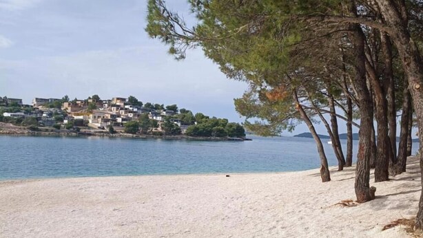 Ein Strand mit einer Baumreihe und einer Siedlung am Hang im Hintergrund.