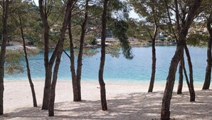 A beach with trees and a calm body of water. - Dalmatia Apartments-Studio Apartment with Balcony 5a (Drage)