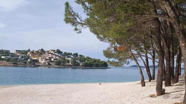 A beach with a row of trees and a hillside settlement in the background. - Dalmatia Apartments- Studio Apartment with Balcony and Sea View 4a (Drage)