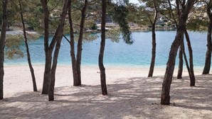 Une plage bordée d’arbres et une étendue d’eau calme.