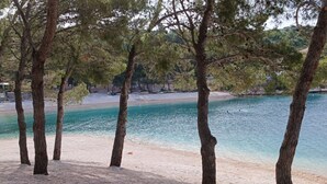 Une plage bordée d’arbres, offrant une vue dégagée sur l’eau.