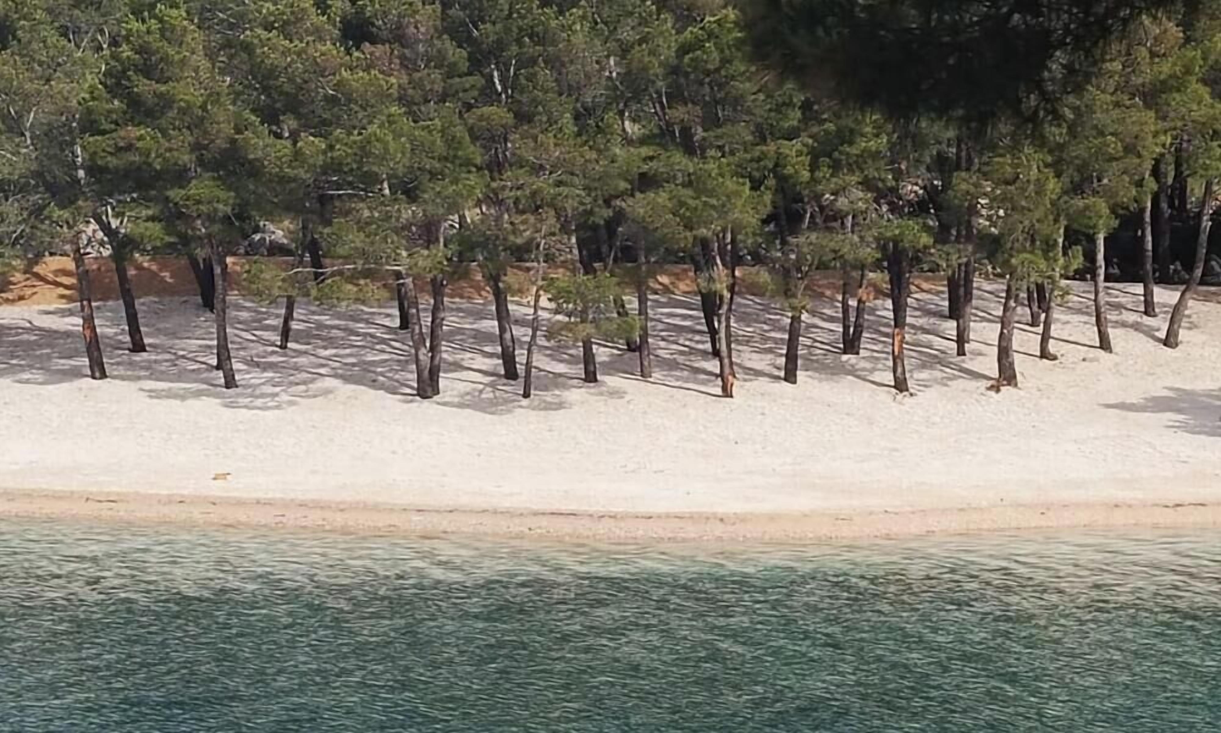 Ein sandiger Strand mit Bäumen und klarem Wasser.