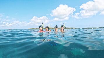 Four people snorkeling in clear blue water with a distant island and cloudy sky in the background.