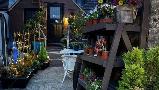A garden with potted plants, a wooden structure, and a building with a visible door number. - Cozy flat in the heart of the Lanes, with a game room and space up to 4 people (Brighton and Hove)