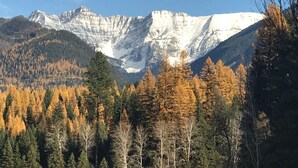 Un paysage montagneux avec une forêt au premier plan et une chaîne de montagnes enneigées en arrière-plan.