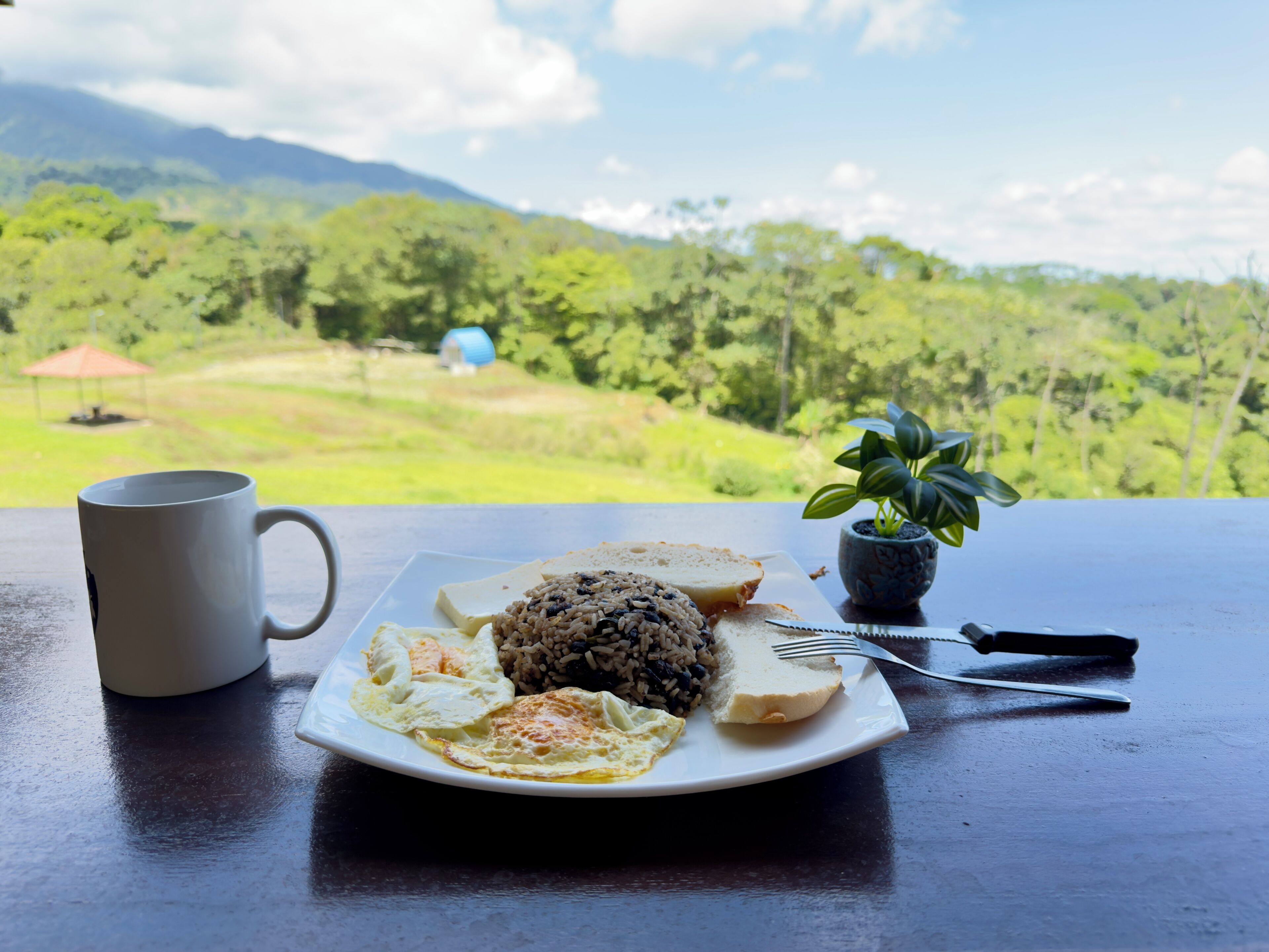 A plate of food with rice, eggs, and bread on a table with a view of green hills.