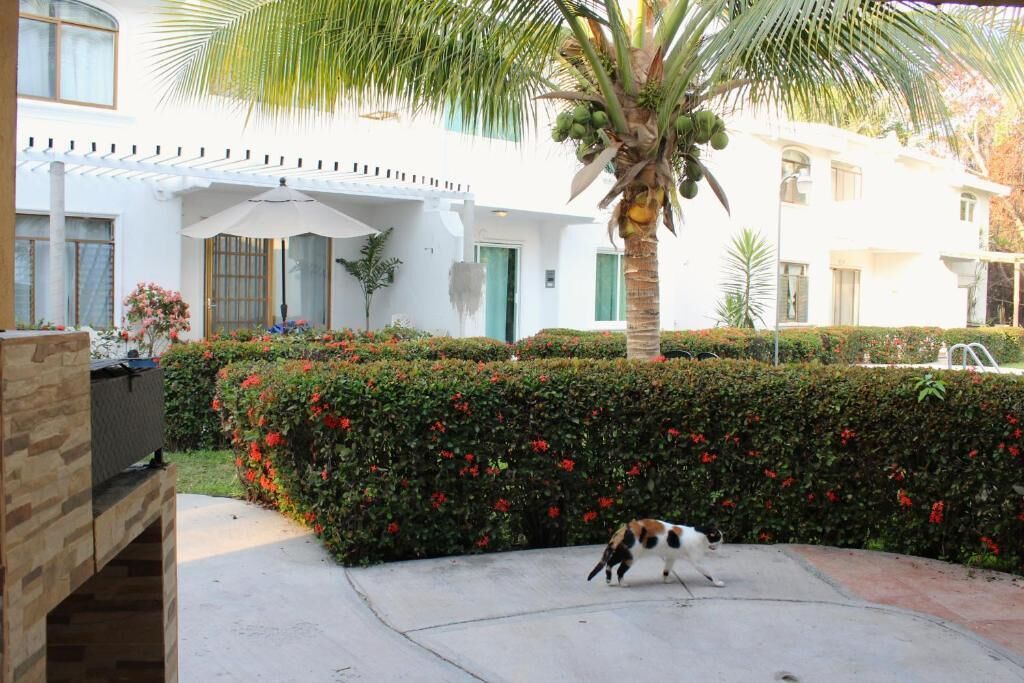 Family House, Balcony, Garden View | Property grounds