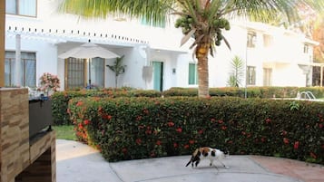 Family House, Balcony, Garden View | Property grounds