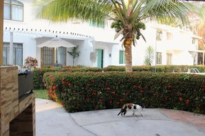 Family House, Balcony, Garden View | Property grounds - Casa Coral (Manzanillo)