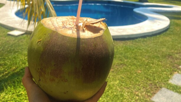 A person holding a coconut with a straw, a swimming pool, and palm trees in the background. - Casa Coral (Manzanillo)