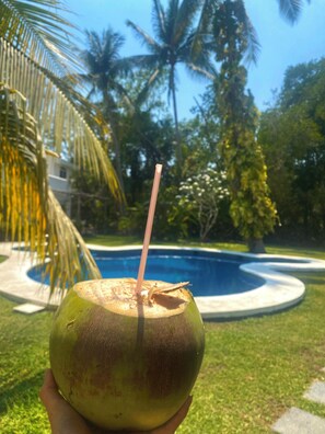 A person holding a coconut with a straw, a swimming pool, and palm trees in the background. - Casa Coral (Manzanillo)