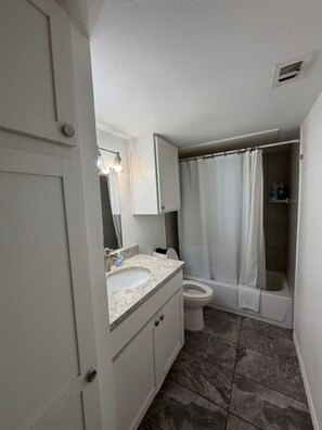 Hair dryer, soap - Beautiful South Austin 1 x 1 Apt (Austin)