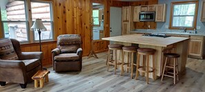 Private kitchen - Charming 3-bedroom cabin in the woods with beach access (Pigeon)