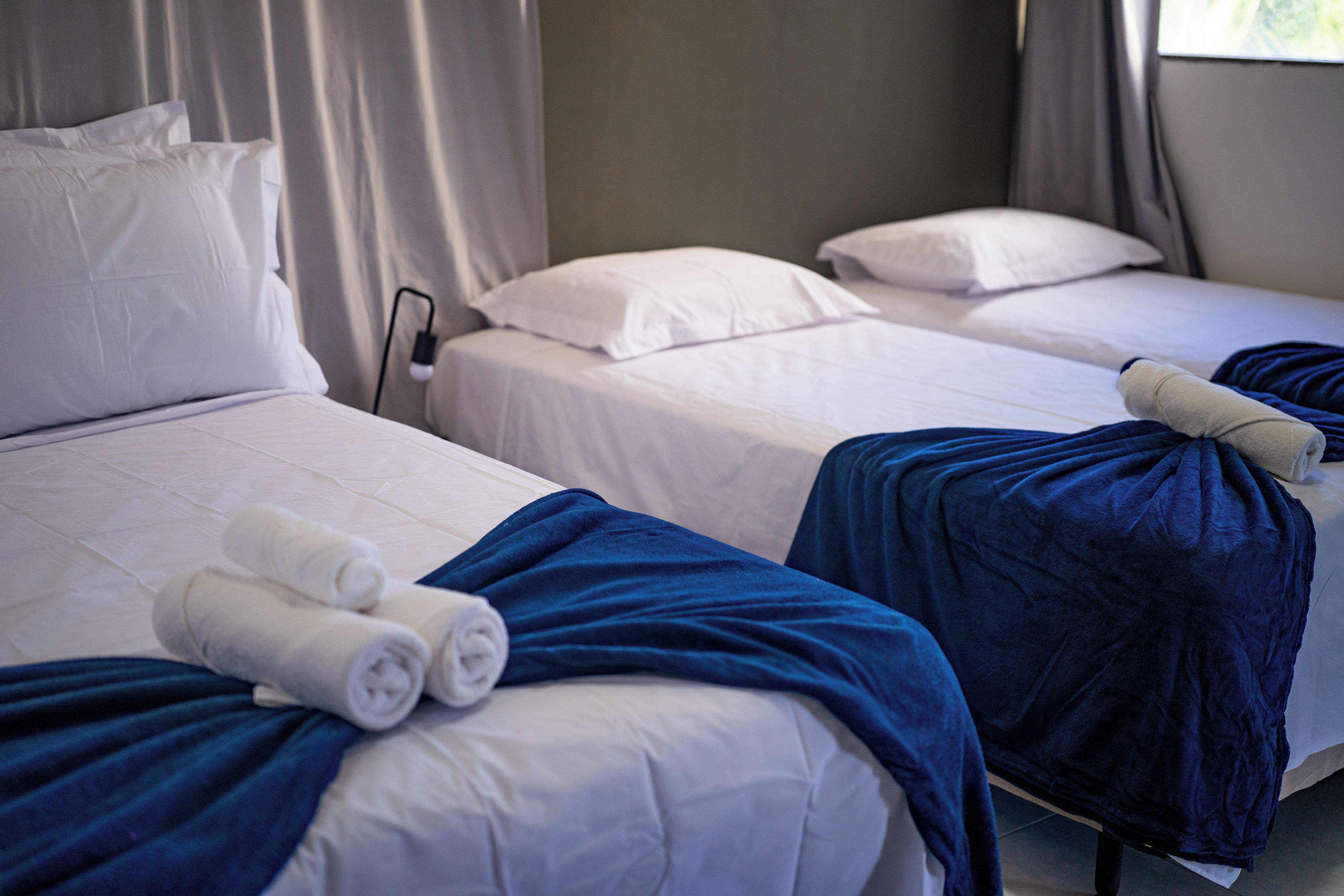 A hotel room with two single beds, each with white linens and a blue blanket.