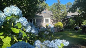 Un jardín con flores de hortensia, una casa y una parrilla.