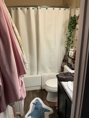Hair dryer, towels, soap, toilet paper - Cozy 1 BR apt a block from Pike Market 1 blk from waterfront (Seattle)