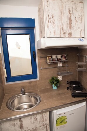A kitchen with a blue door, stainless steel sink, white cabinets, and a small potted plant.