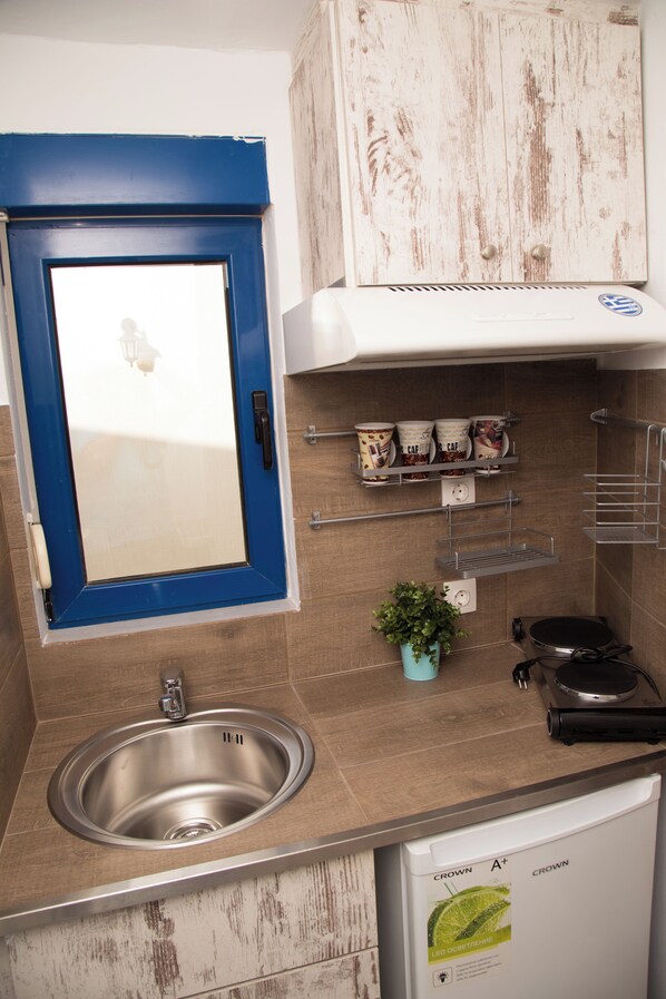 A kitchen with a blue door, stainless steel sink, white cabinets, and a small potted plant.