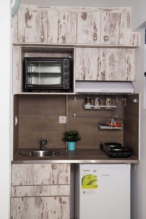 A kitchenette with a built-in microwave, a small sink, a plant, and a mini-fridge.