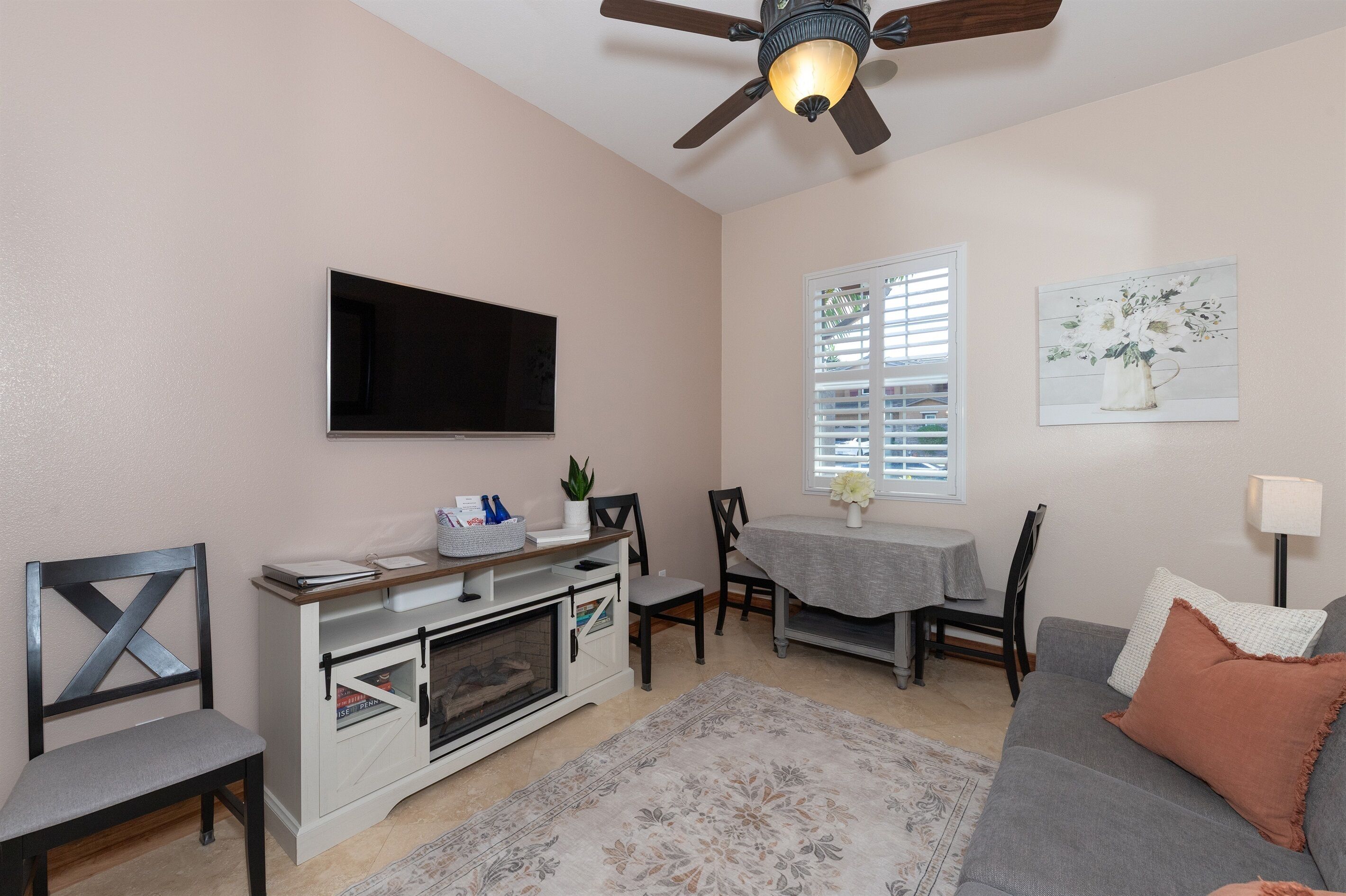 Smart TV, fireplace, books