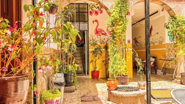An outdoor courtyard with potted plants, a staircase, and a mural of a flamingo. - Casona de San Agustin (Cusco)