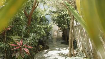 Área da propriedade