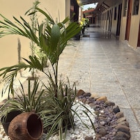 Detalle exterior