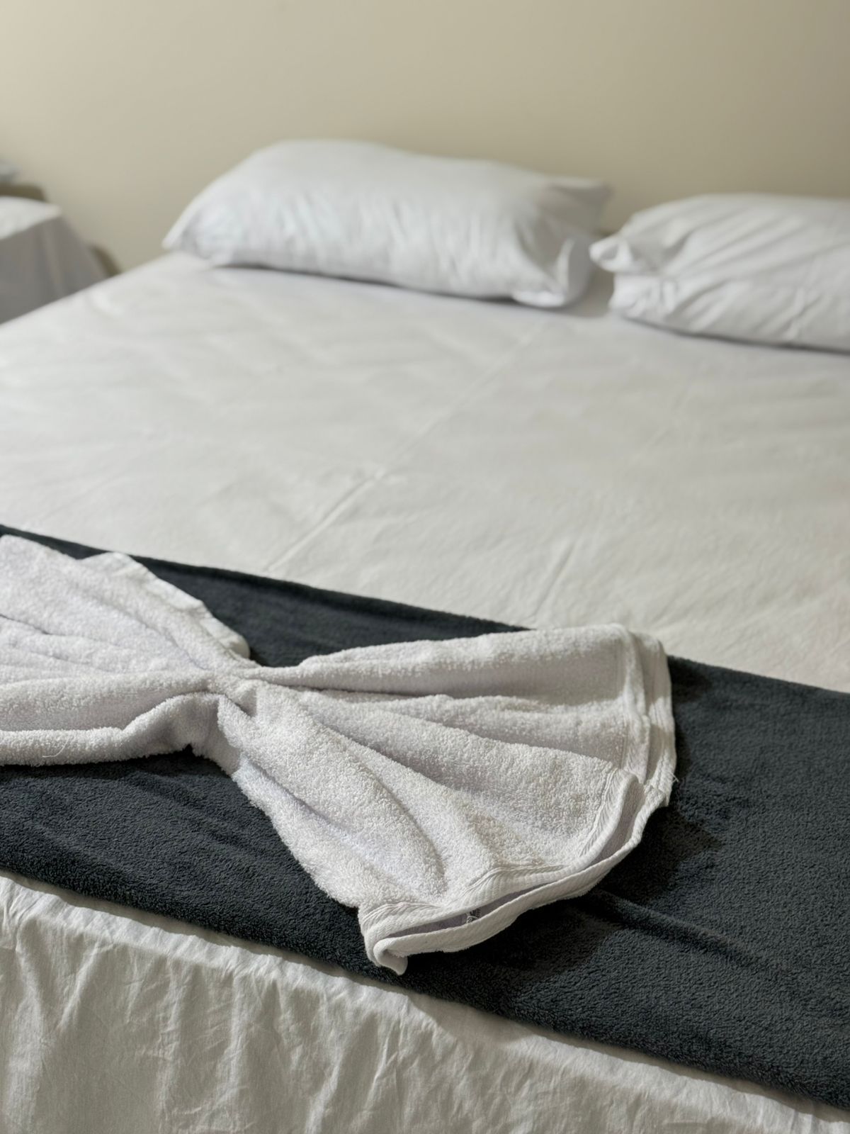 Dobbeltrom, tilpasset bevegelseshemmede, aircondition